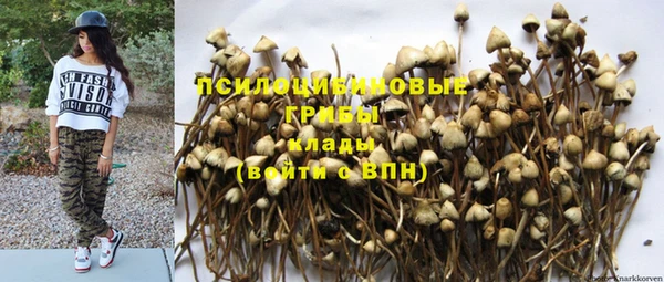 гидра Михайловск