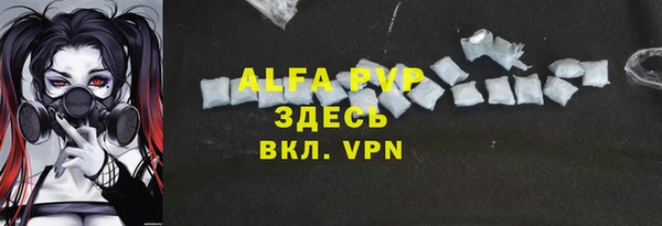 гидра Михайловск