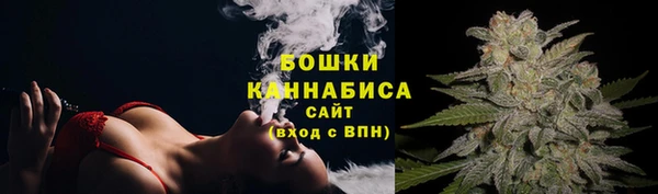 гидра Михайловск