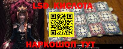 стафф Донской
