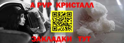 стафф Донской