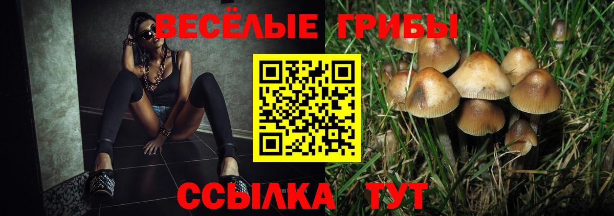 Галлюциногенные грибы прущие грибы Коряжма