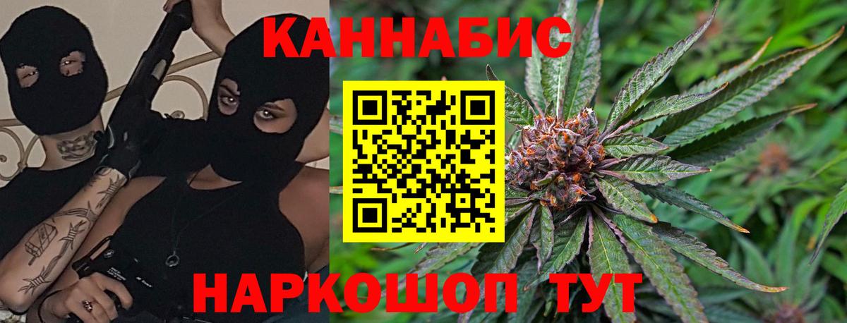 Бошки марихуана план  Каннабис тримм  Бошки марихуана White Widow  МАРИХУАНА SATIVA & INDICA  Вход с VPN  Коряжма 